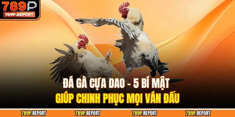 Đá Gà Cựa Dao - 5 Bí Mật Giúp Chinh Phục Mọi Ván Đấu
