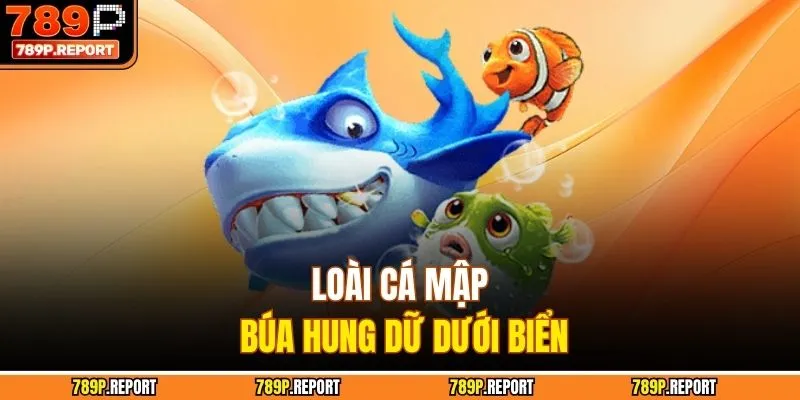 Loài cá mập búa hung dữ dưới biển