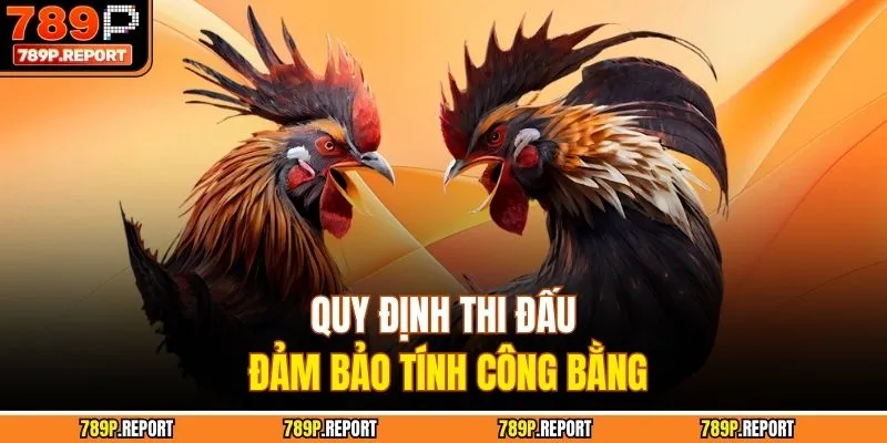 Quy định thi đấu đảm bảo tính công bằng